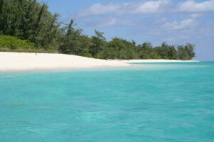 Marea Timor